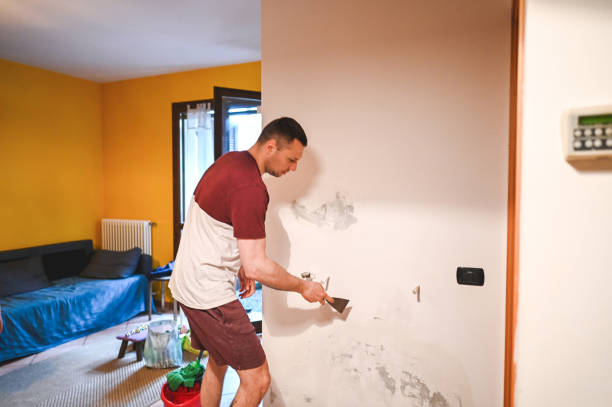 Best Health and Safety Mold Remediation in North Ballston Spa, NY